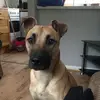 lily Dutton  - @lily.dutton098 - TikTok