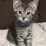 Lily.Engelhardt - @lily.engelhardt8 - Instagram