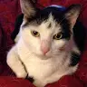 Lily Ernst871 - @lilyernst871 - TikTok