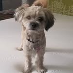 Lily Ernst - @lilybeanernst - Instagram