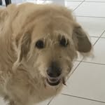 Lily Ferrier - @lilygram_official - Instagram