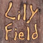 Lily Field - @lilyfieldshop - Instagram