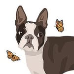 Lily & Friends - @lily.and.friends1013 - Instagram