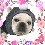 Lily Friend Tang - @lilyfriendtang - Instagram