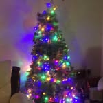 Lily - @lilyfriend10 - Instagram