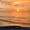 _Lily_Gallo_ - @_lily_gallo_ - TikTok