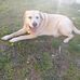 Lily Gallo - Facebook