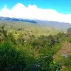 lily Gomez - @lily.gomez89 - TikTok