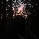 lily goode - @lilyyann.co - Instagram