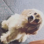 Lily Goodemote - @goodemote.lily - Instagram