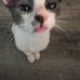 Lily Gooden - Facebook