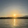 lilygoodey47 - @lilygoodey47 - TikTok