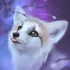 lilygraff97 - @alaskawolf21 - TikTok