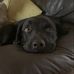 Lily Greene - Facebook