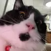 Eden - @lily__guy - TikTok