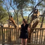 Lily - @_lily_hammond_ - Instagram