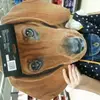 lily hammond - @lilshammond12345678 - TikTok