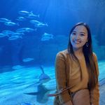 Lily Hang - @lilyyhang - Instagram