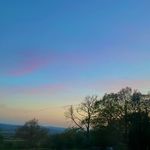 Lily Harrison - @lily___gh - Instagram
