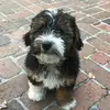 Lily Heath - @lily_h_19 - TikTok