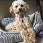Lily Hebert - @pretty_littlelily - Instagram