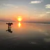 Lily Hicks - @lilyhicks3 - TikTok