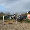 lily.higginss4 - @lily.higginss4 - TikTok
