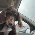 Lily Holbrook - @lilyholbrook12 - Instagram