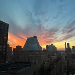 Lily Horowitz - @lilysfosterjourney - Instagram