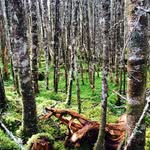Lily House - @lily_house__ - Instagram