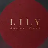 Lily House - @lilyhouse.qa - TikTok