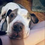 Lily Houser - Facebook