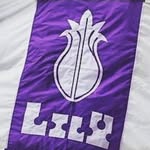 St. Louis Lily House - @lilyhouse_sls - Instagram