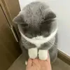 Lily Howard - @lily.howard14 - TikTok