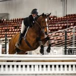Lily Johnson - @lily_johnson.eq - Instagram
