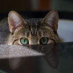 Lily Katz - @lily.katz.564 - Instagram