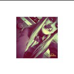 ℓιℓу♕ - @lily.kelley - Instagram