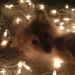 Lily Kelley - @lilykelley9395 - Instagram