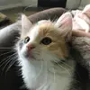 Lily_Kelley - @lily_.e_kelley - TikTok