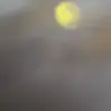 Lilykern - @lilykern24 - TikTok
