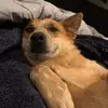 Lily - @lily.killian - TikTok