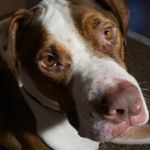 Lilly kline - @kline_lilly - Instagram