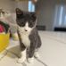 Lily Lemon - Facebook