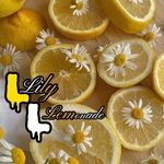 Lily Lemonade - @lilylemonada - Instagram