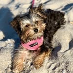 Lily Lowery - @sillylilybaby - Instagram