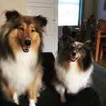 Lily and Lola Lowry - @thelifeoflilyandlola - Instagram