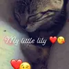 lily._.lowry.123 - @lily._.lowry.123 - TikTok