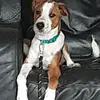 lily_lowry25 - @lily_lowry25 - TikTok