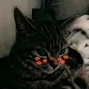 lily._lowry - @lily._lowry - TikTok