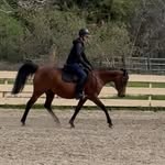 Lily Mackey - @lilymackey_eq - Instagram